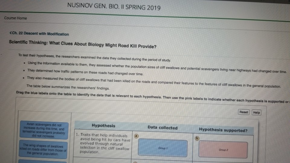 NUSINOV GEN. BIO. Il SPRING 2019 Course Home | Chegg.com