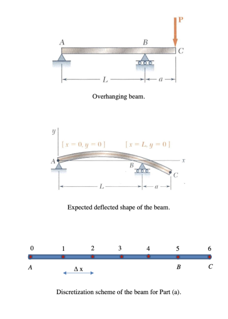 The Exact Deflection Of The Overhanging Beam Shown In | Chegg.com