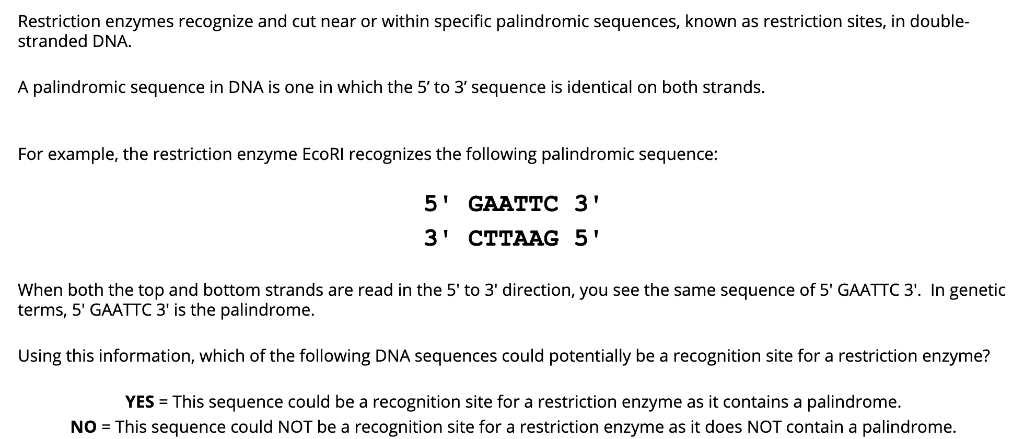 palindromic sequence 4 vs 6