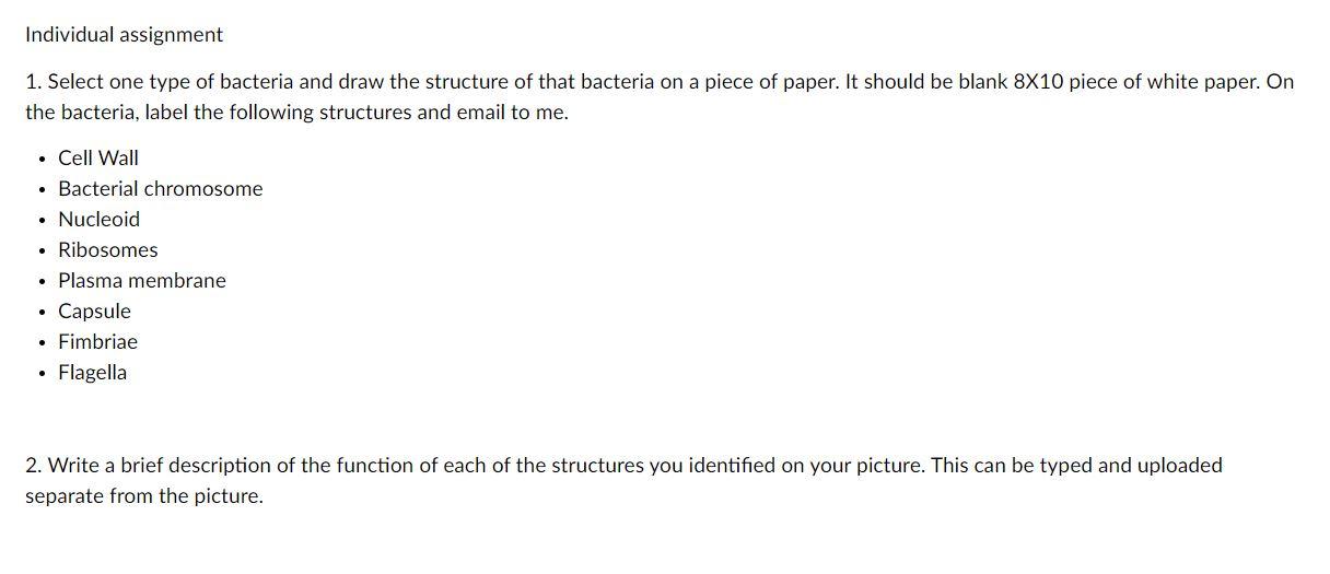 structure of bacteria assignment