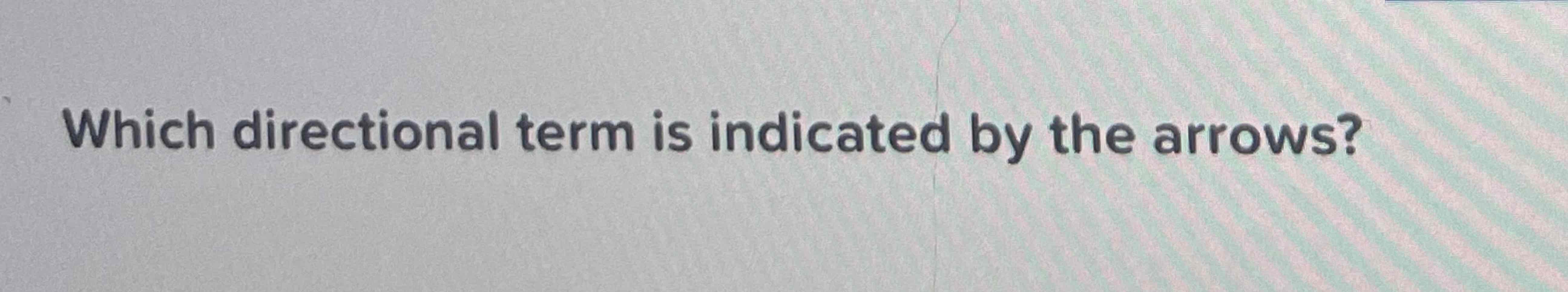 Which Directional Term Is Indicated By The Arrows