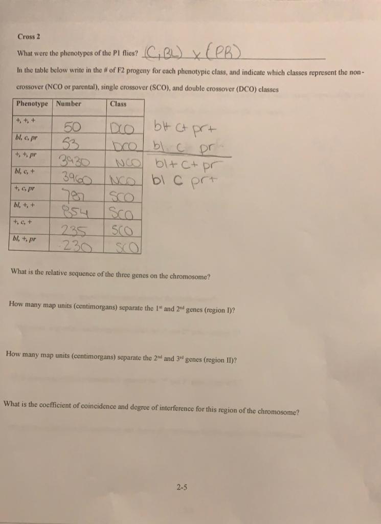 Solved Using The Data From These Crosses, Determine The 