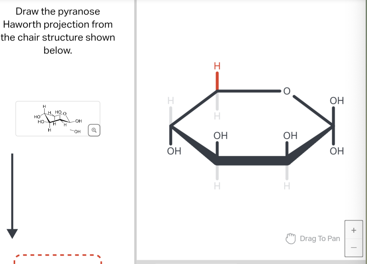 Solved Draw the pyranose Haworth projection from the chair