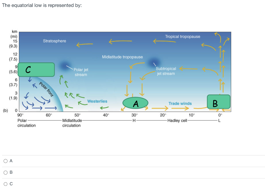 The equatorial low is represented by:
\( (\mathrm{b} \)
A
B
C