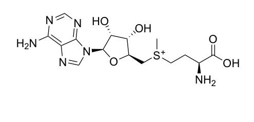 Solved label all points of hydrolysis and draw the | Chegg.com