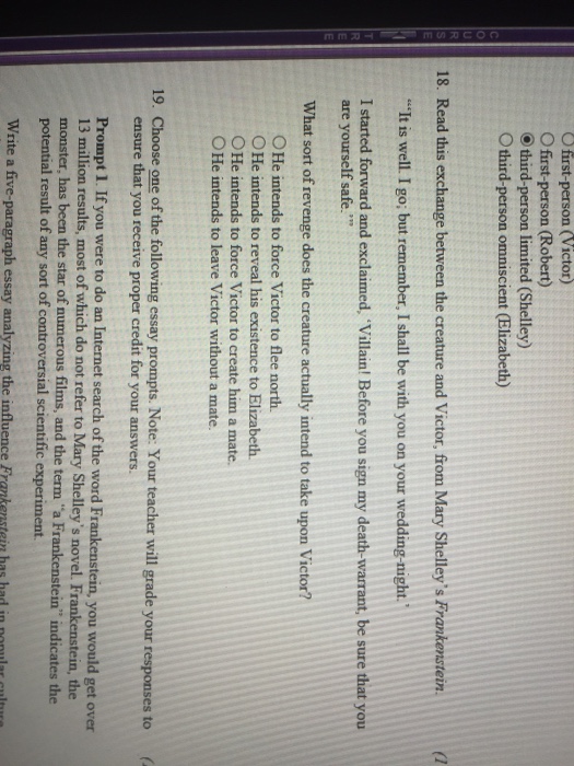 Good Essay Questions For Frankenstein
