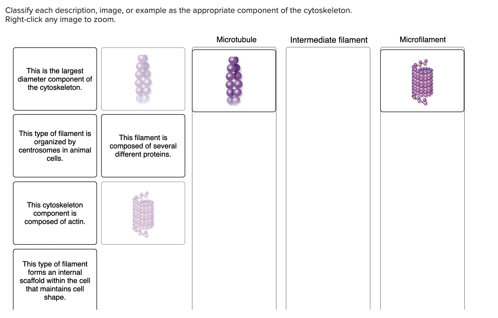 Solved Classify each description, image, or example as the | Chegg.com