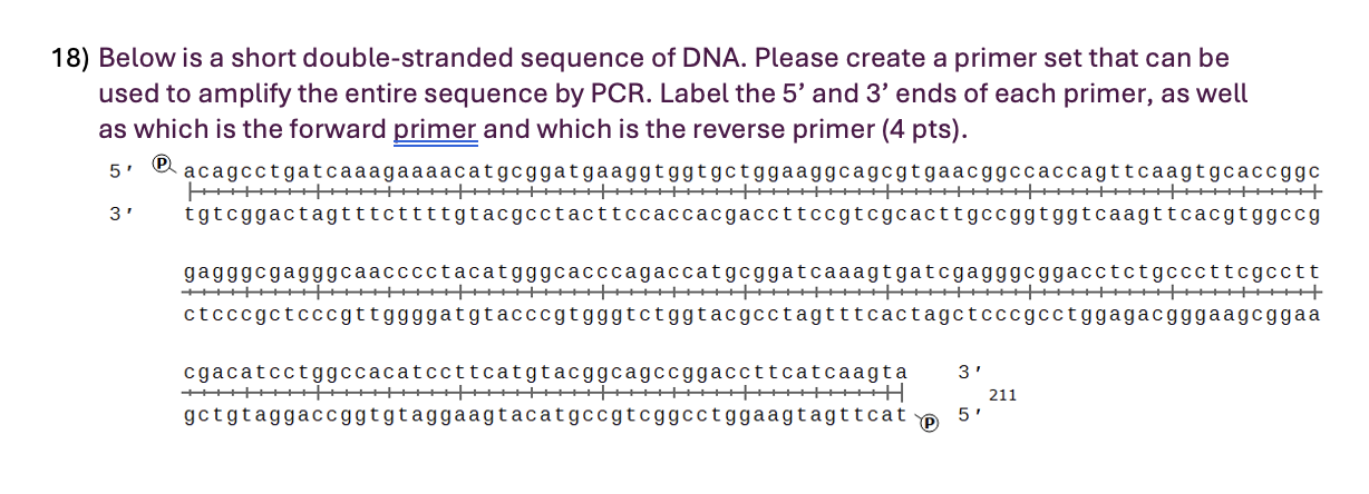 Solved Below is a short double-stranded sequence of DNA. | Chegg.com