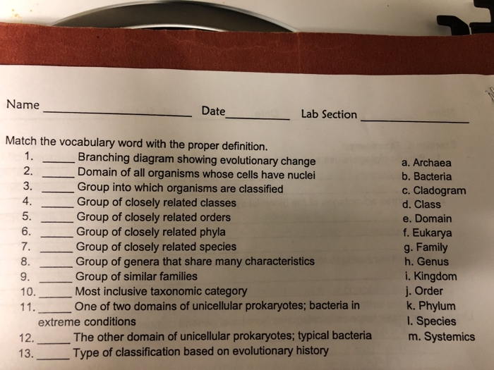 Solved Name Date Lab Section Match the vocabulary word with | Chegg.com