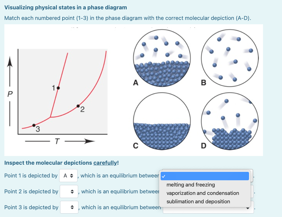 Solved Visualizing physical states in a phase diagram Match | Chegg.com