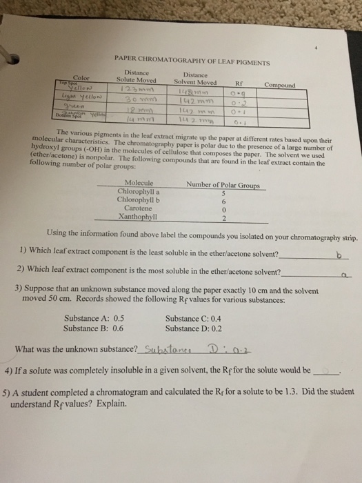Solved PAPER CHROMATOGRAPHY OF LEAF PIGMENTS Distance Solute