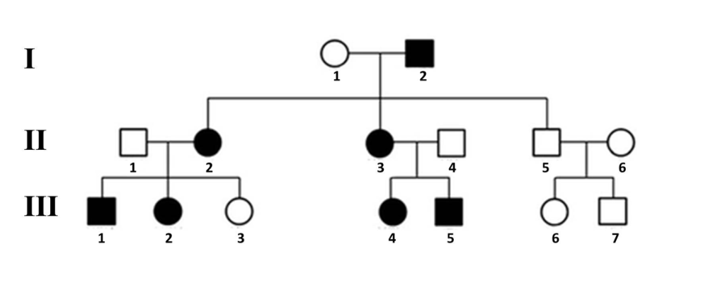 Solved QUESTION 6: We will continue to practice assigning | Chegg.com