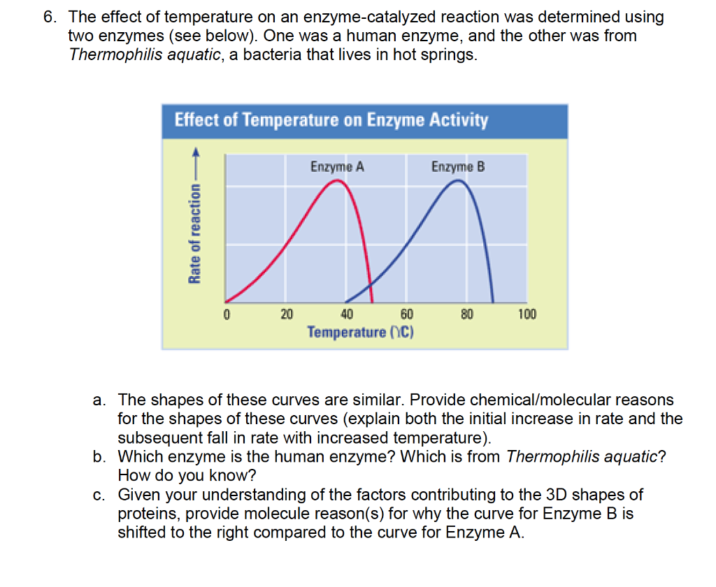 enzymes-at-low-temperatures-file-enzyme-temperature-png-wikimedia