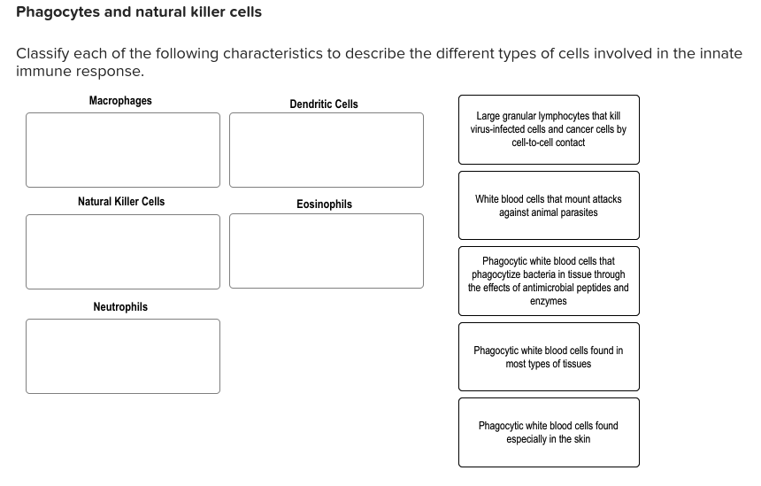 Solved Phagocytes and natural killer cells Classify each of