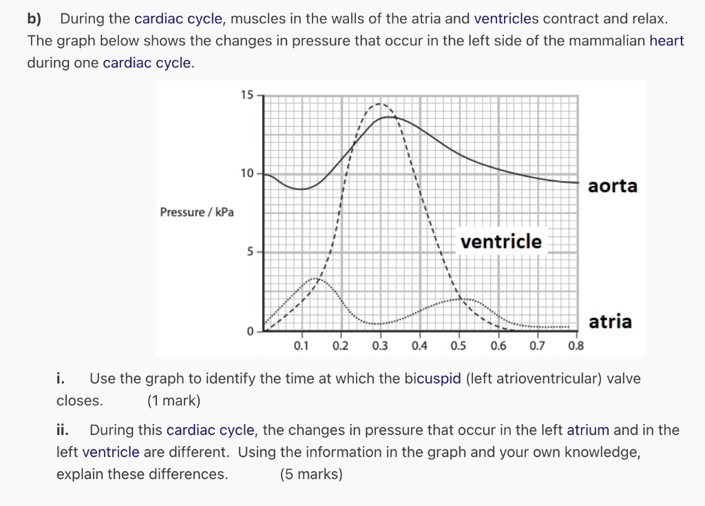 Solved b) During the cardiac cycle, muscles in the walls of | Chegg.com