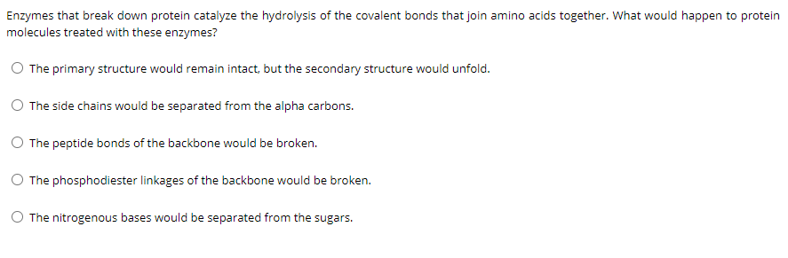 Solved Enzymes that break down protein catalyze the | Chegg.com