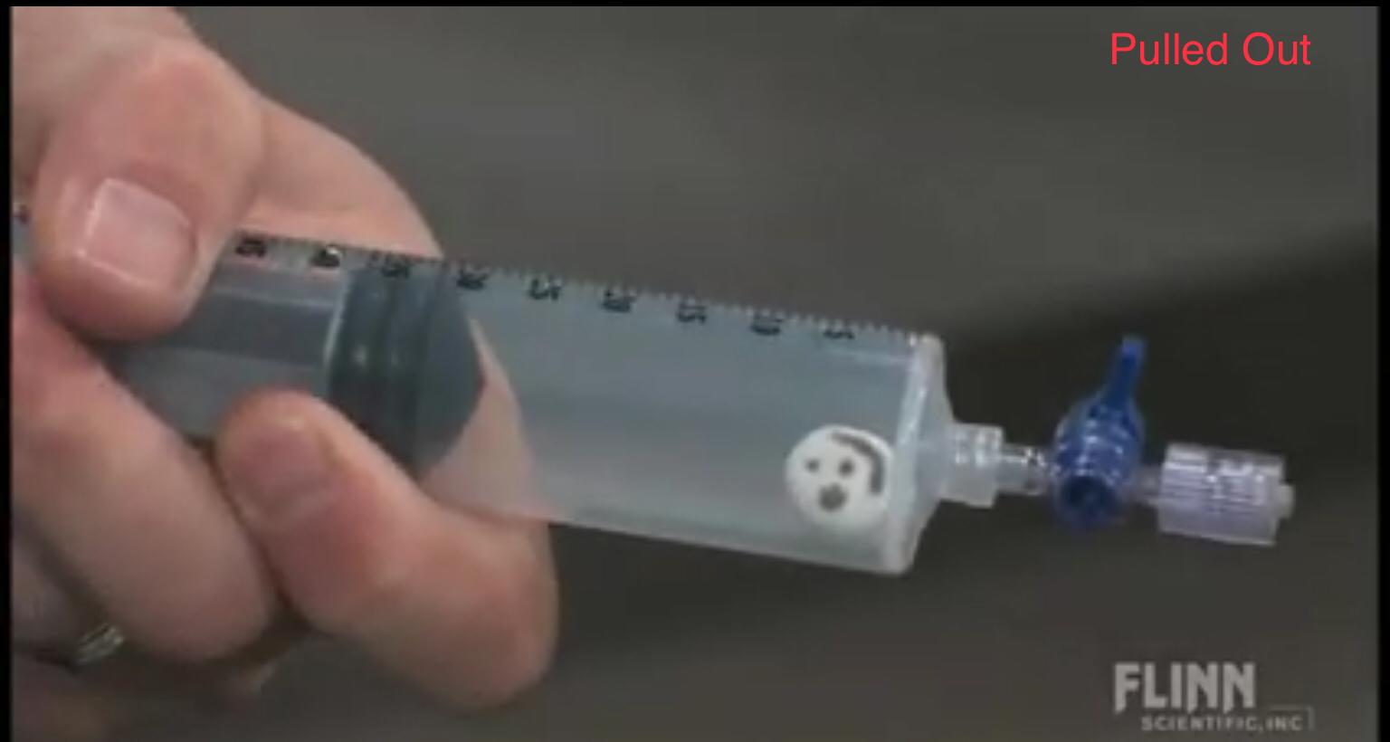 marshmallow syringe experiment