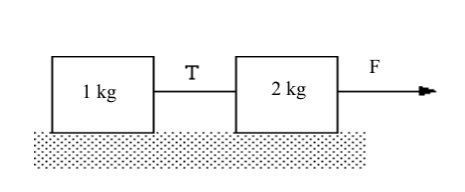 Solved A force F of 35 N is applied. What is the tension T | Chegg.com