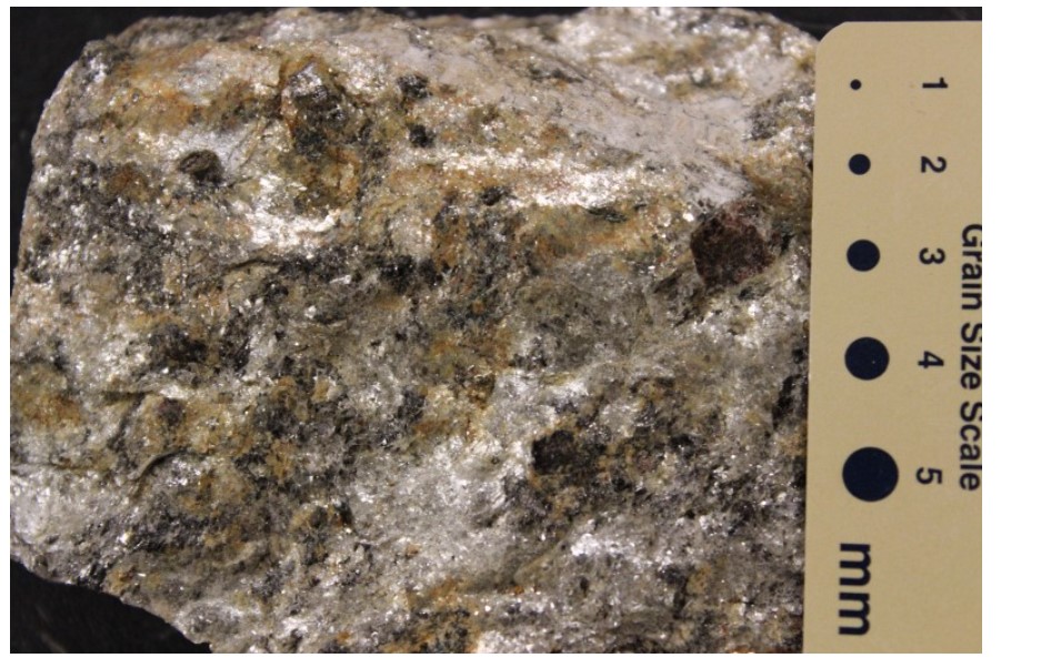 Solved Note The metamorphic rock shown here does not react