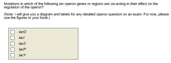 Solved Classify the following examples of prokaryotic gene | Chegg.com