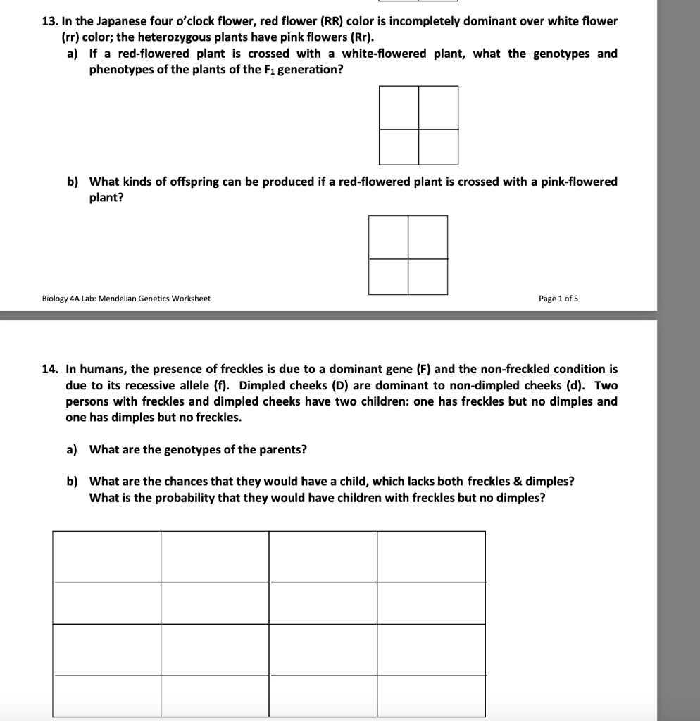 Solved 13. In the Japanese four o'clock flower, red flower
