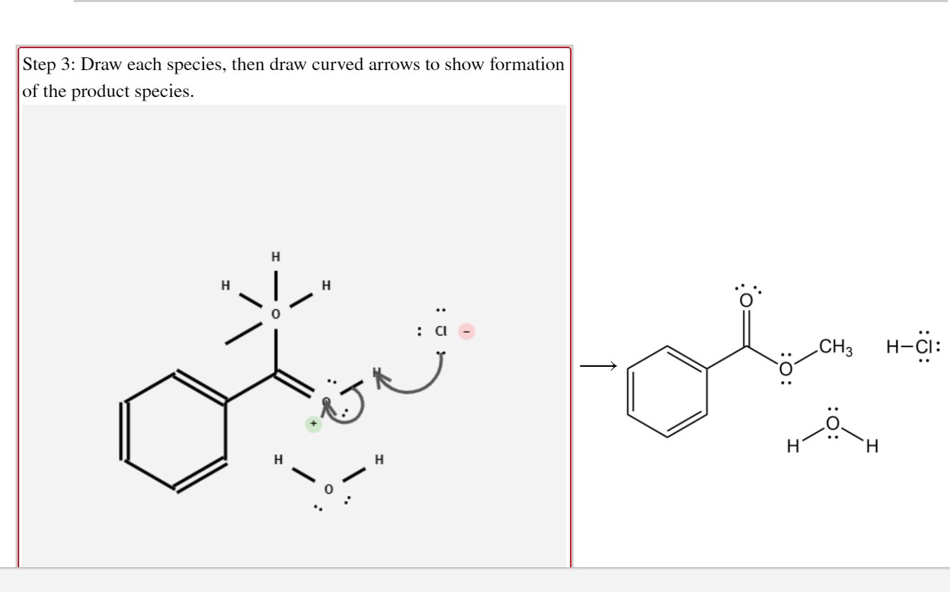 Solved Examination of the Fischer esterification mechanism | Chegg.com