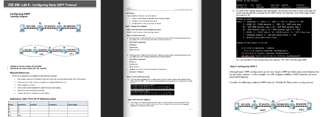 CIS 256: Lab 9- Configuring Basic OSPF Protocol CLASH | Chegg.com