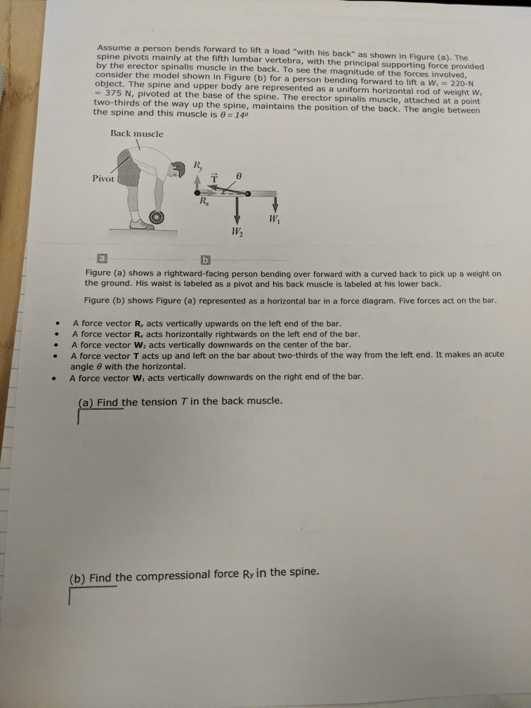 Solved me a person bends forward to lift a load 