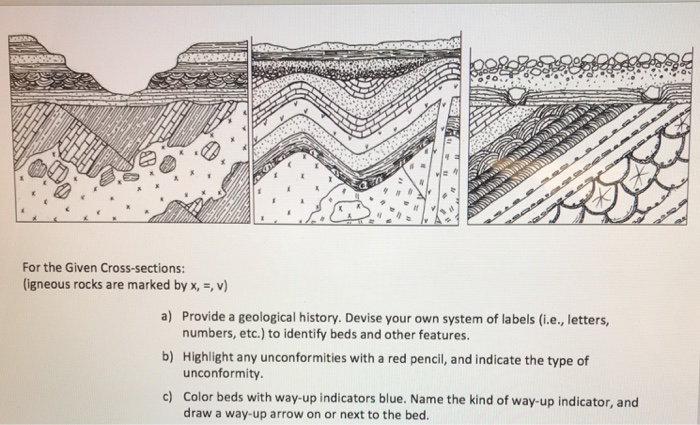 Solved For the Given Cross-sections: (igneous rocks are | Chegg.com