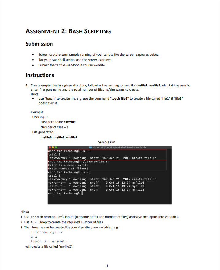 bash assignment