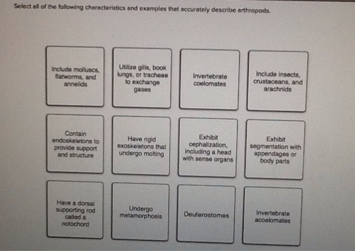 Solved Select all of the following characteristics and | Chegg.com