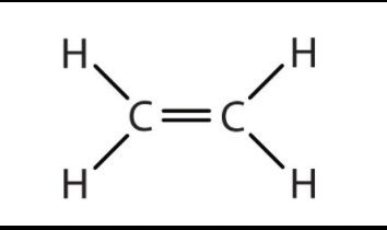 Solved Show the following reaction: The above compound | Chegg.com