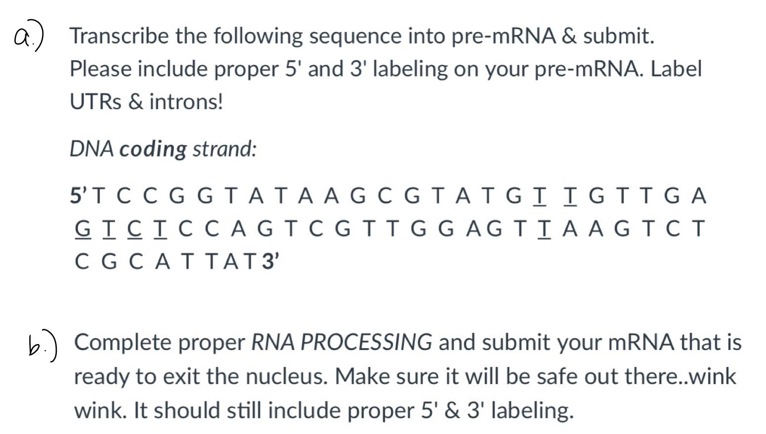 Solved О a Transcribe the following sequence into pre-mRNA & | Chegg.com