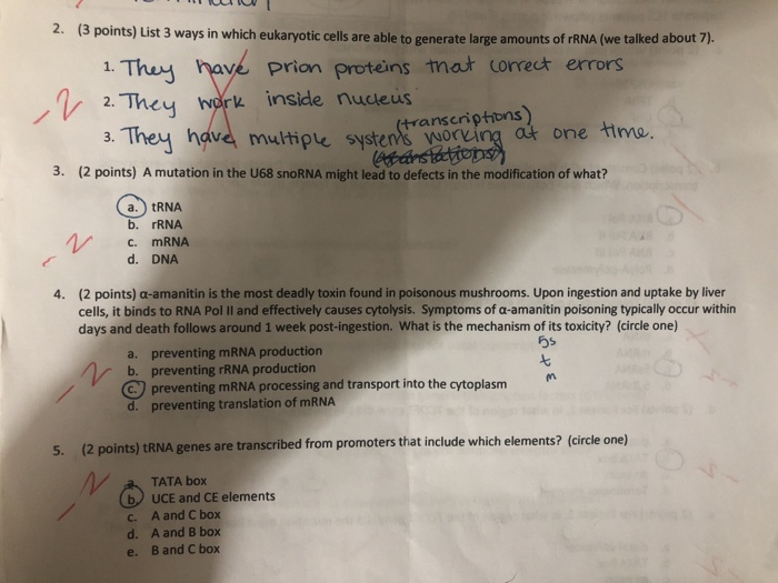 Solved 2. (3 points) List 3 ways in which eukaryotic cells | Chegg.com