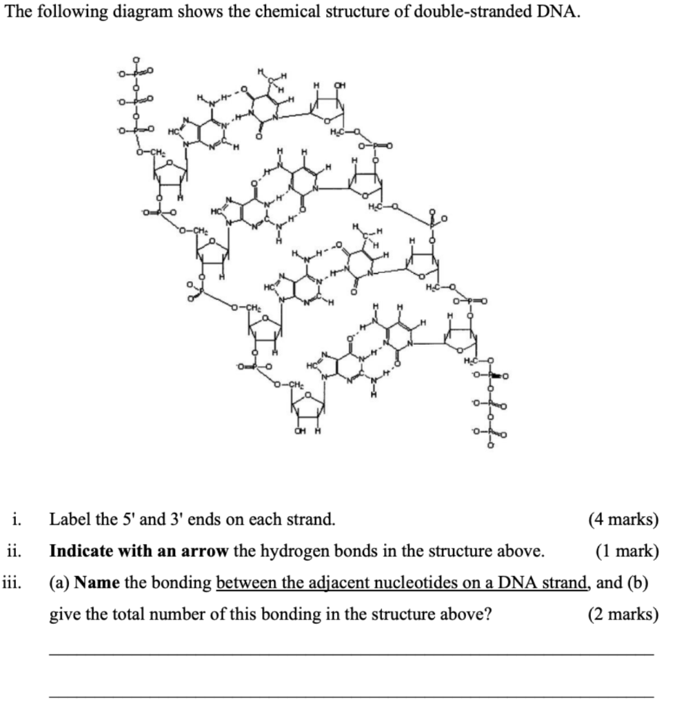 Solved The Following Diagram Shows The Chemical Structure Chegg Com