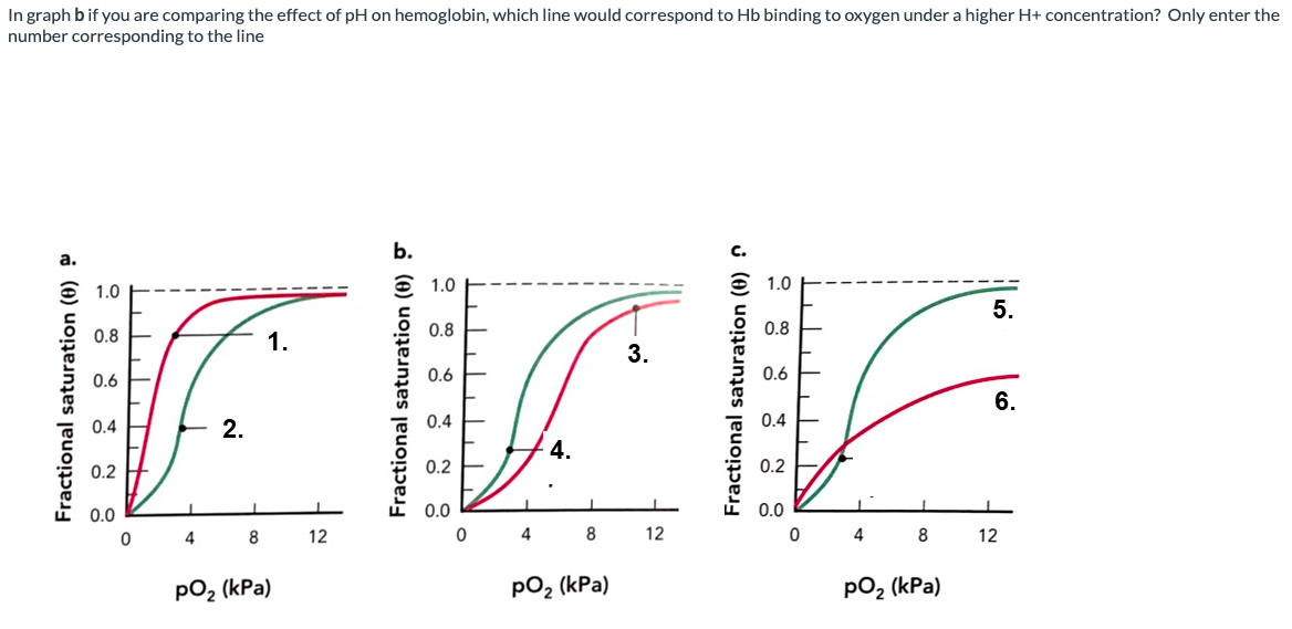 Solved In Graph B If You Are Comparing The Effect Of PH On | Chegg.com