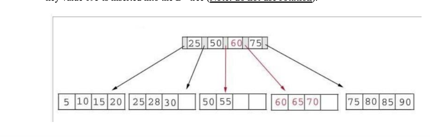 Solved Explain The Difference Between B Tree And B+ Tree (b) | Chegg.com