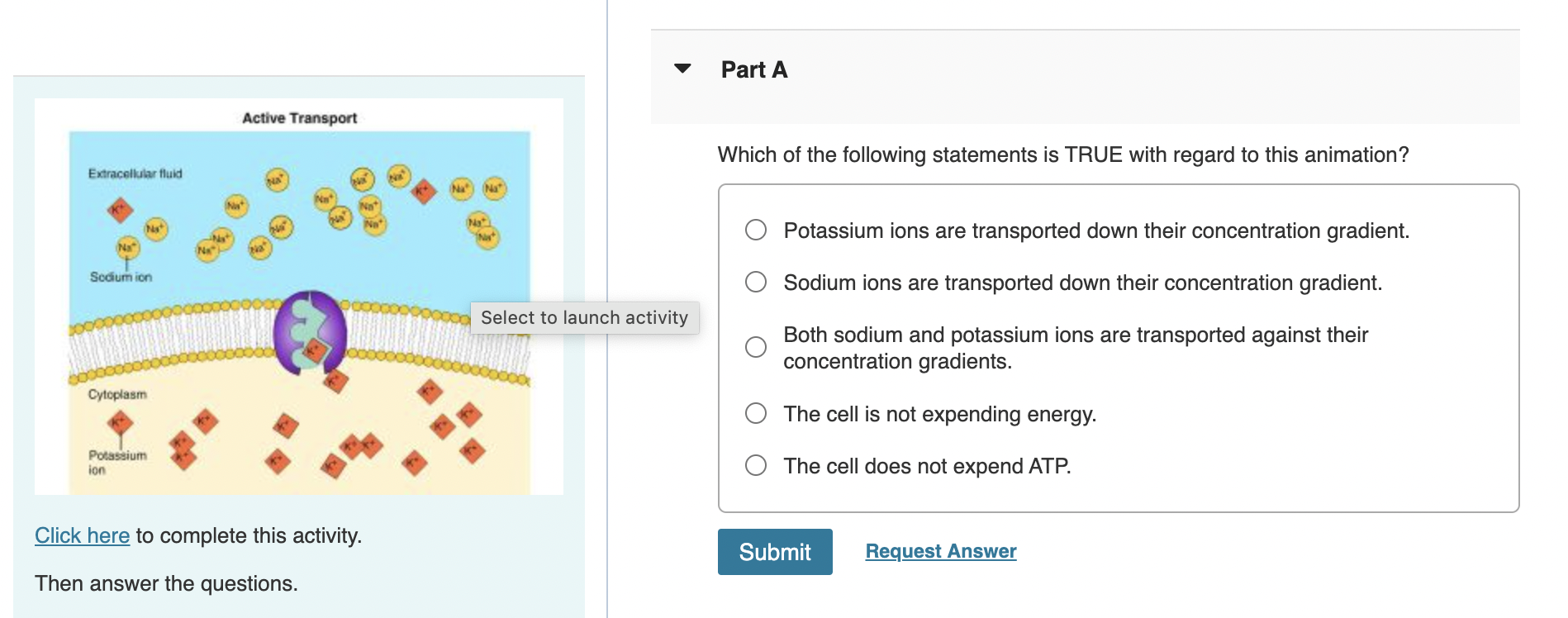 Which Statement Is True About The Transfer Feature Solved Part AActive TransportWhich of the following | Chegg.com
