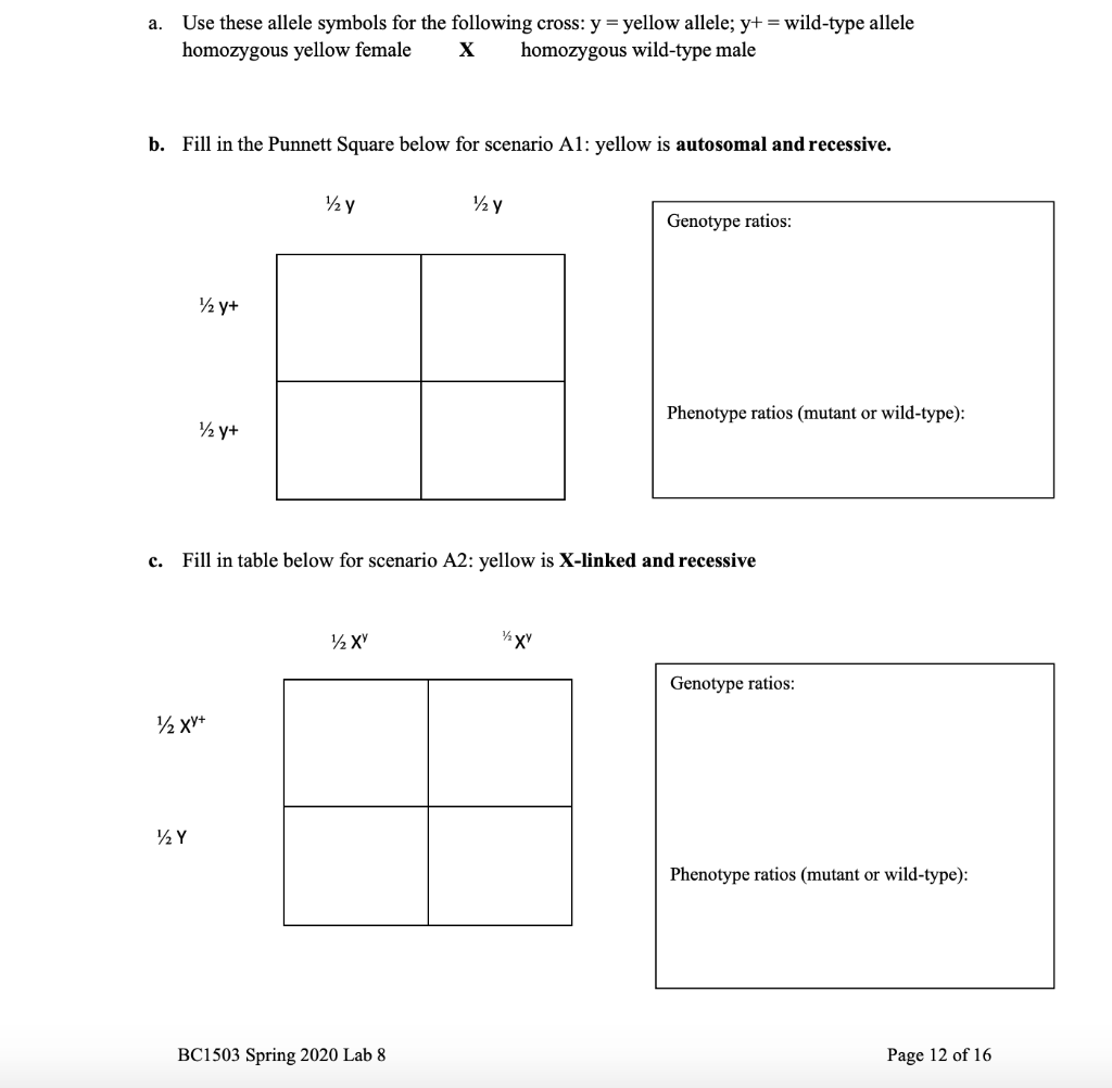 Solved a. Use these allele symbols for the following cross: | Chegg.com