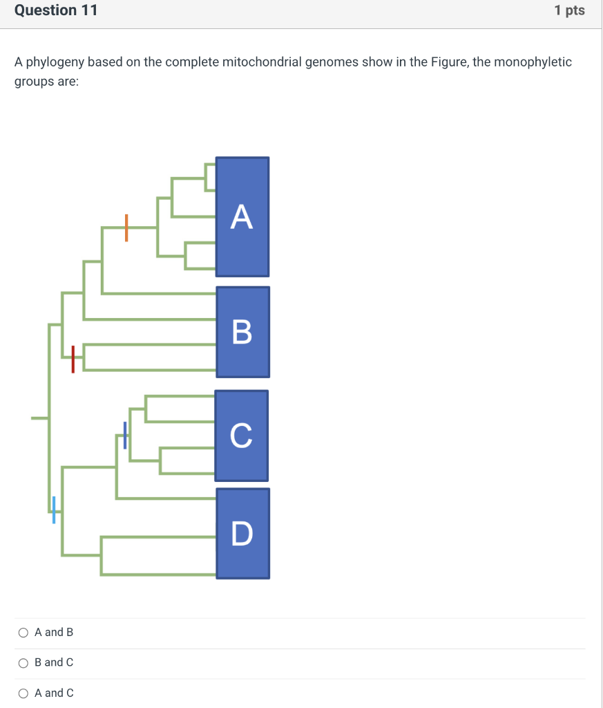 Solved A Phylogeny Based On The Complete Mitochondrial | Chegg.com