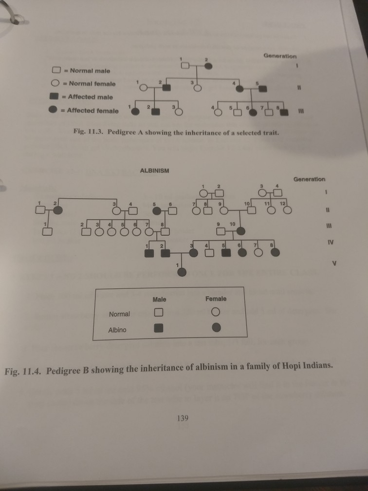 Solved Exercise 11-6: Pedigree Analysis 1. What is the mode | Chegg.com