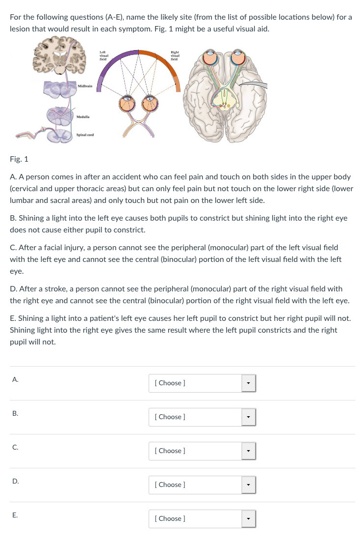 Solved Neuroscience/Physiology Question: Please see | Chegg.com