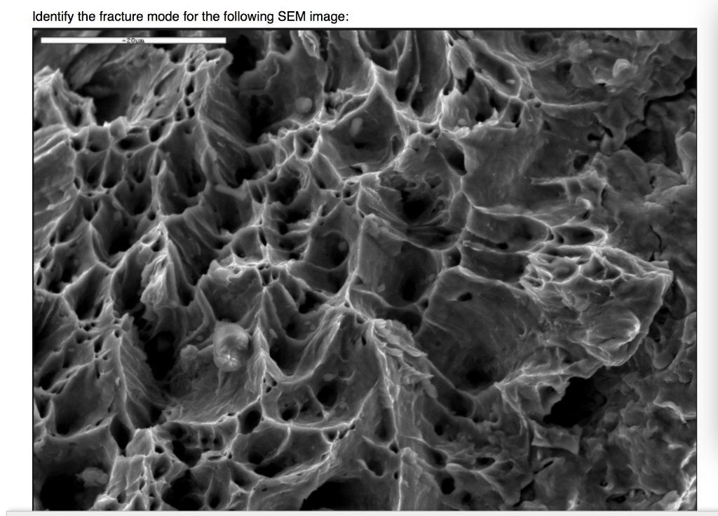 Solved Identify the fracture mode for the following SEM