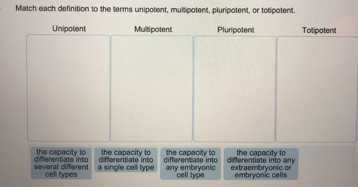 pluripotent and totipotent pluripotent and totipotent