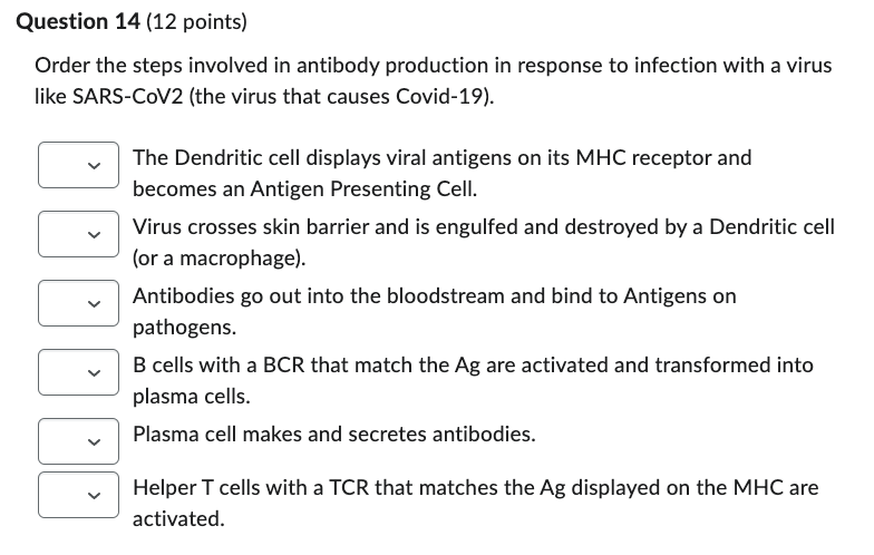 Question 14 (12 points)
Order the steps involved in antibody production in response to infection with a virus
like SARS-CoV2
