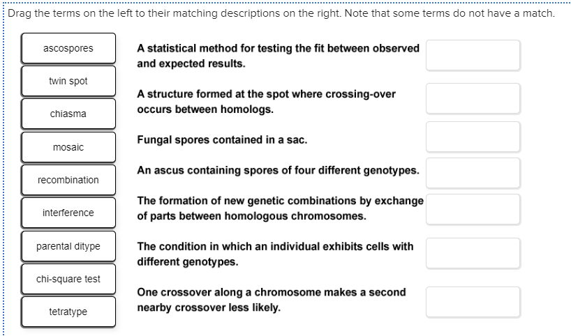Solved Drag the terms on the left to their matching | Chegg.com | Chegg.com