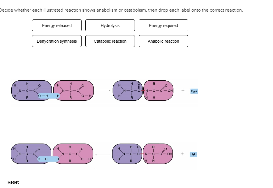 Solved ecide whether each illustrated reaction shows | Chegg.com
