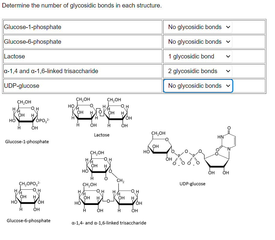 Solved Determine the number of glycosidic bonds in each | Chegg.com