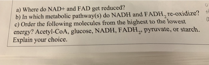 Solved a) Where do NAD+ and FAD get reduced? b) In which | Chegg.com