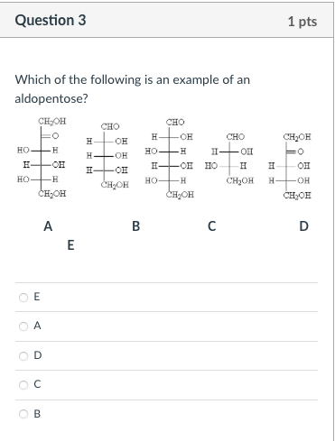 Solved Question 3 1 pts Which of the following is an example Chegg com